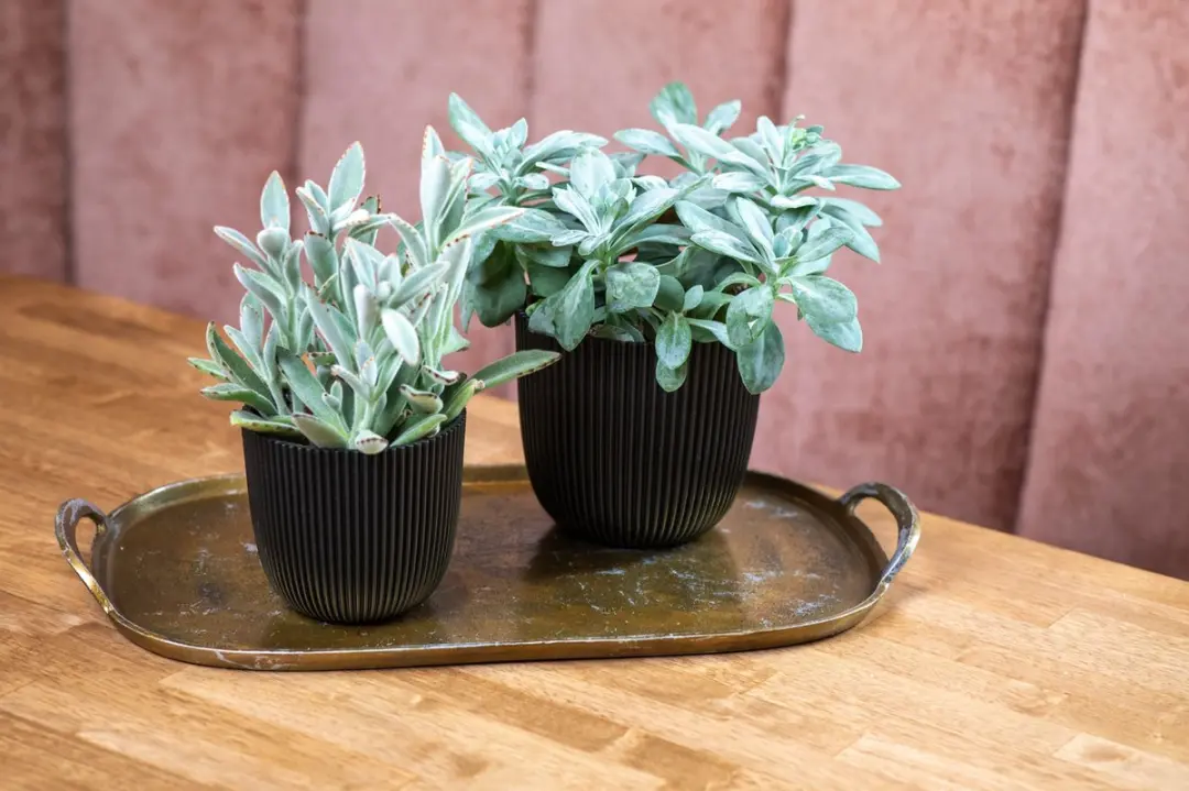 Capi Bloempot Groove Textiel Zwart 5L