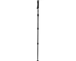 Benro Monopod Mach3 MMA38C