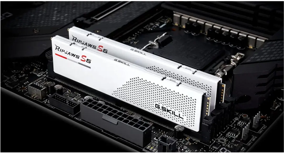 G.Skill F5-6000J3036F24GX2-RS5W DDR5 Geheugen - 48GB (2x24GB) 5600MT/s