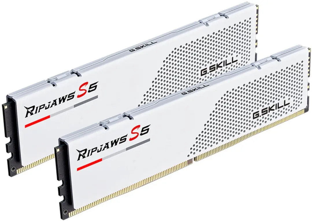 G.Skill F5-6000J3036F24GX2-RS5W DDR5 Geheugen