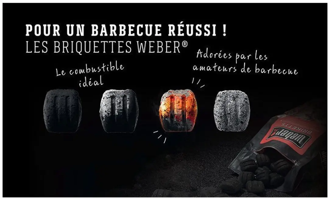Weber Briketten 4 kg