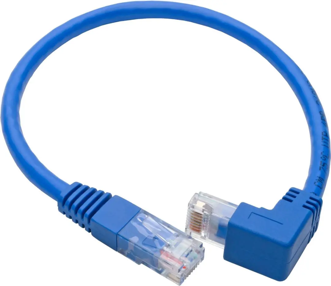 Tripp Lite N204-001-BL-DN Netwerkkabel Cat6 - 0,31m - Blauw