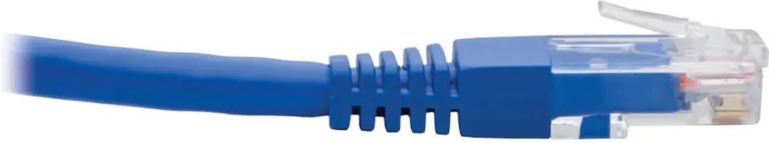 Tripp Lite N204-001-BL-DN Netwerkkabel Cat6 - 0,31m - Blauw