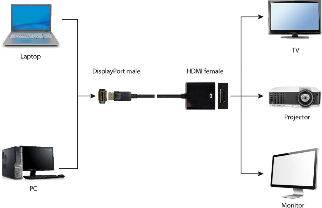 Cablexpert A-DPM-HDMIF-002 DisplayPort naar HDMI Adapterkabel - Zwart