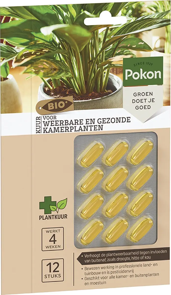Pokon Bio Kuur Kamerplanten Capsules - 12 Stuks