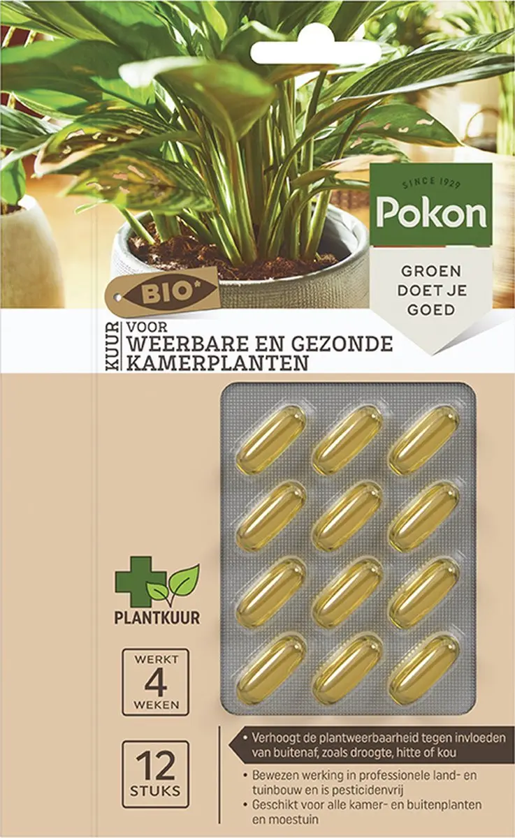 Pokon Bio Kuur Kamerplanten Capsules