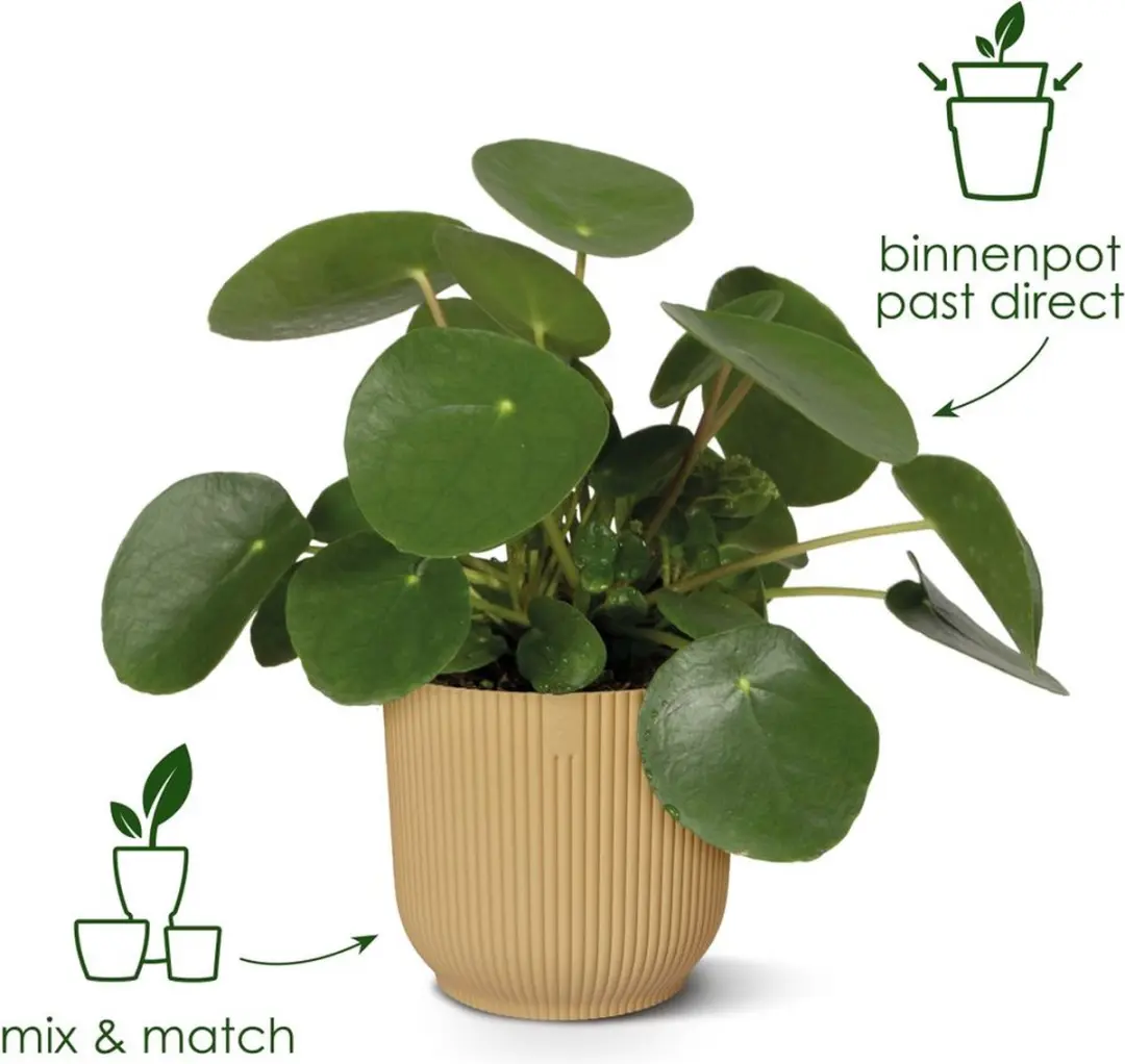 Elho Vibes Fold Rond 25 Bloempot - 9,2L - Delicaat Roze