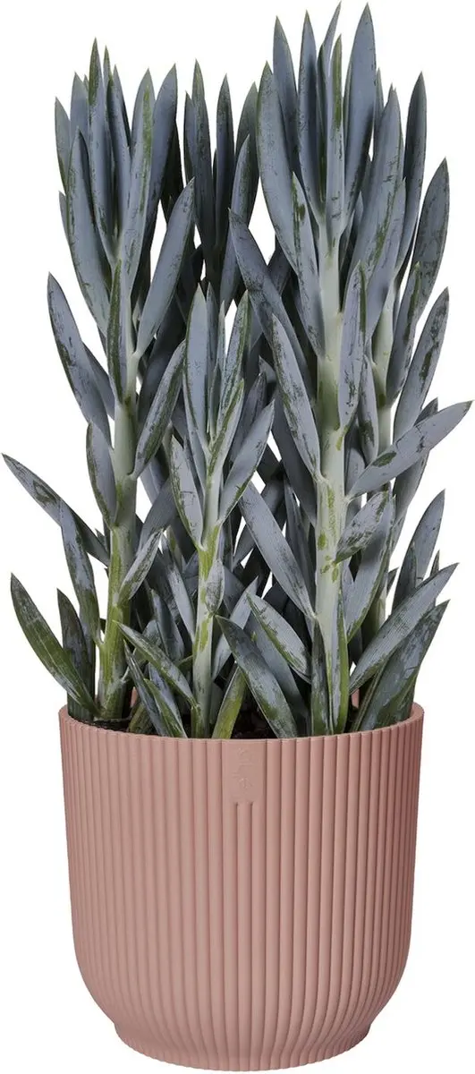 Elho Vibes Fold Rond 25 Bloempot - 9,2L - Delicaat Roze