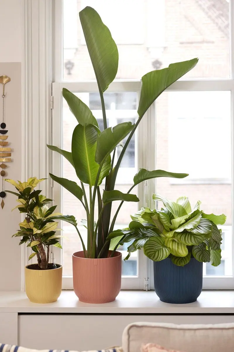 Elho Vibes Fold Rond 25 Bloempot - 9,2L - Delicaat Roze