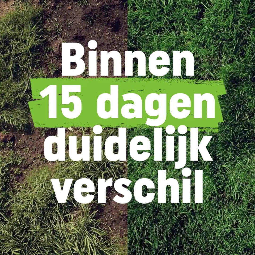 Pokon Gazon Revolutie 4kg Bodemverbeteraar - 80m² - afbeelding 6 van 6