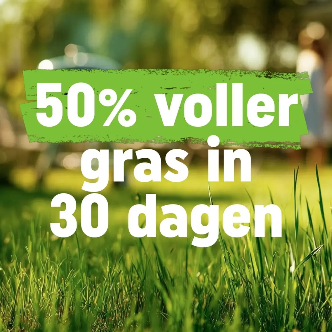 Pokon Gazon Revolutie 4kg Bodemverbeteraar - 80m²