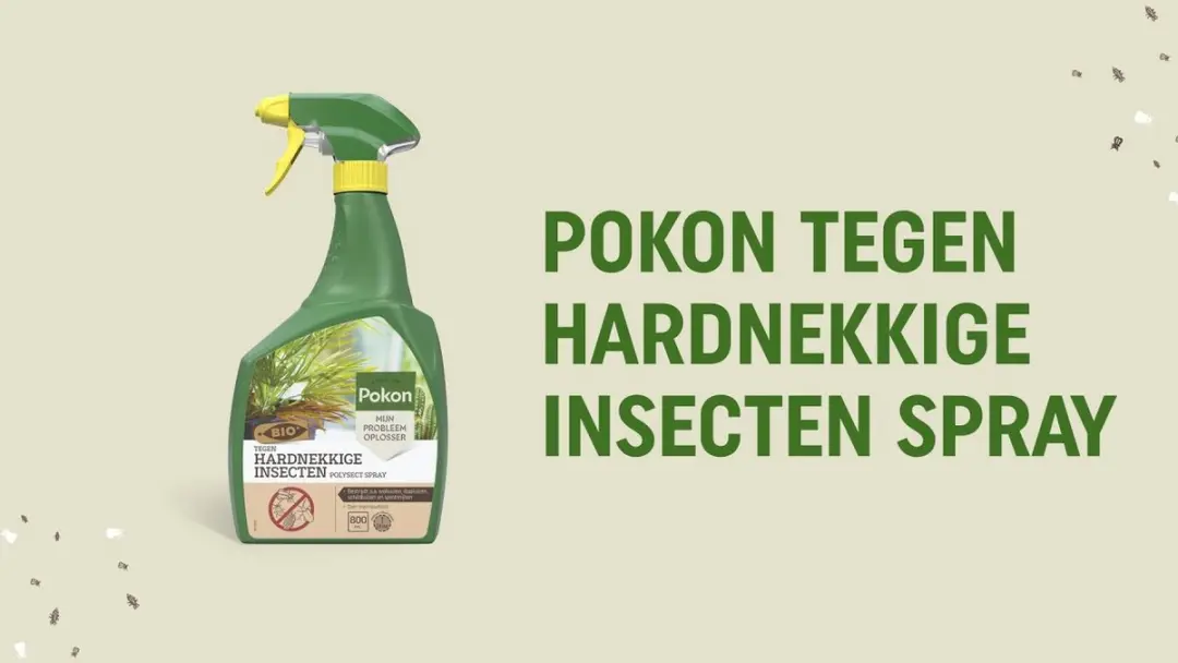Pokon Bio Tegen Hardnekkige Insecten Spray 800ml