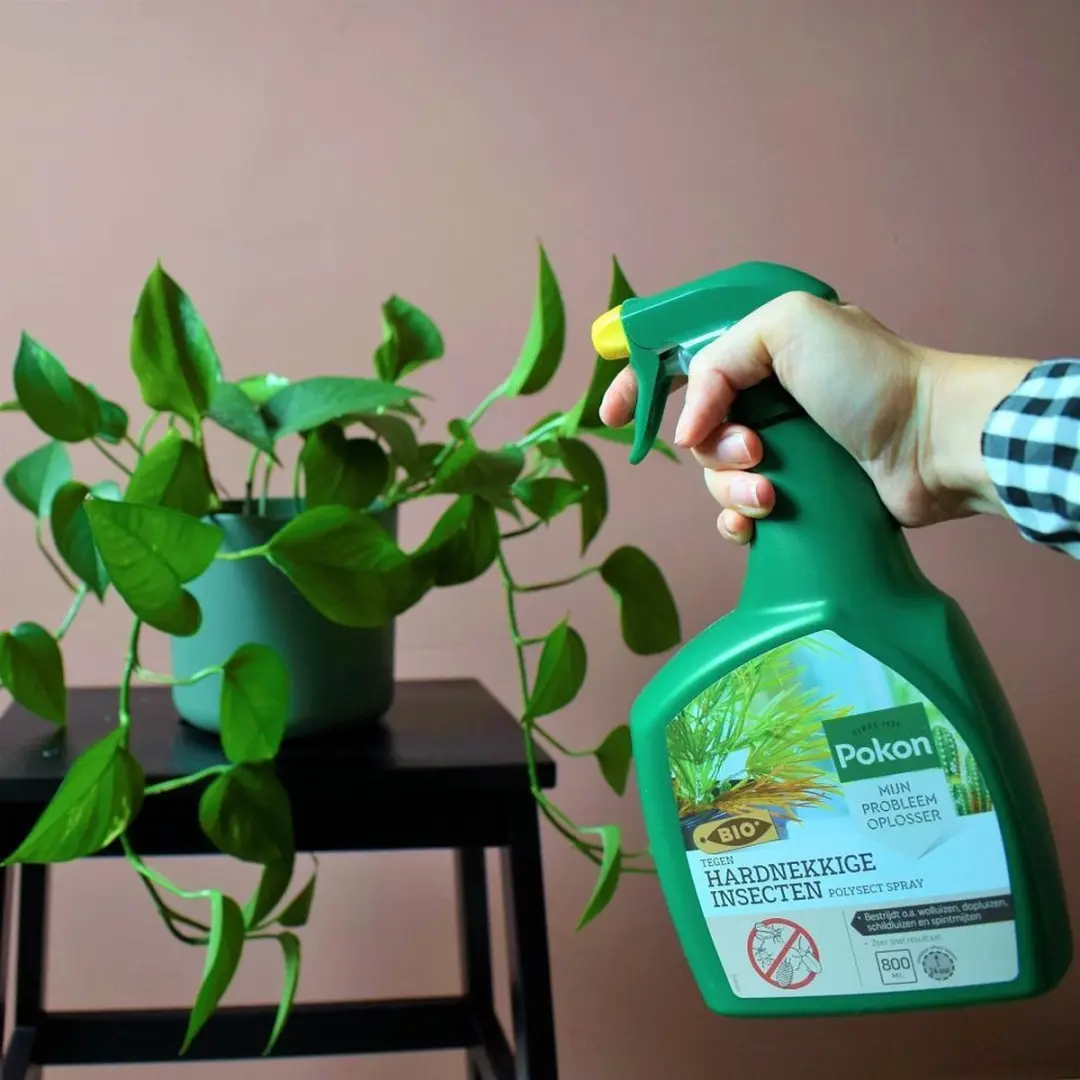 Pokon Bio Tegen Hardnekkige Insecten Spray 800ml
