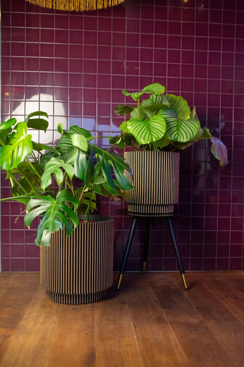 Capi Europe Groove NL Vaas Cilinder 60L - Zwart