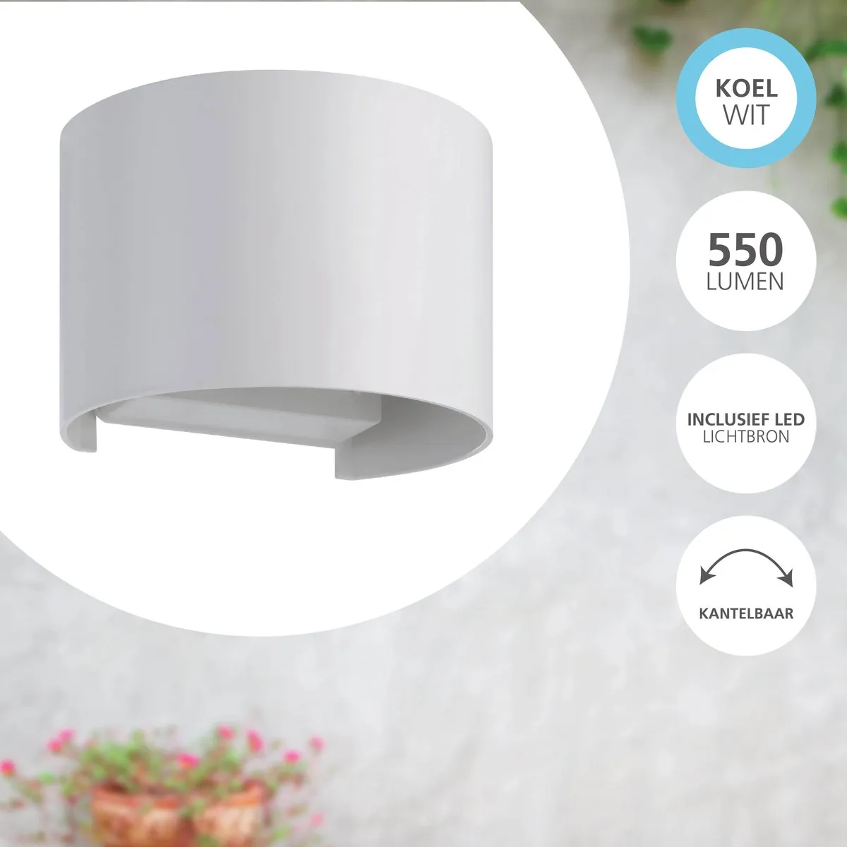 Eglo Barcarola-E Wandlamp Buiten LED 13cm - Wit/Transparant