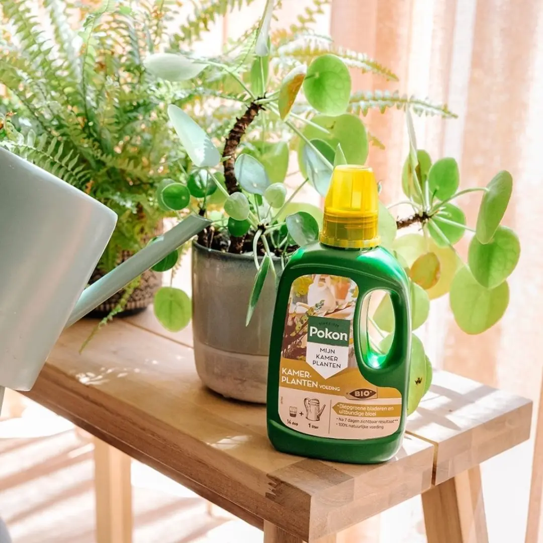 Pokon Bio Kamerplantenvoeding 1L