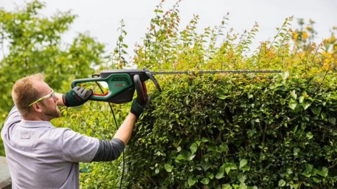 Bosch AdvancedHedgeCut 70 Heggenschaar 500W