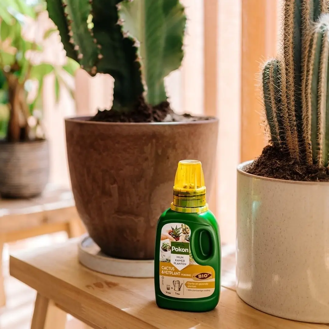 Pokon Bio Cactus & Vetplant Voeding 250ml - afbeelding 6 van 6