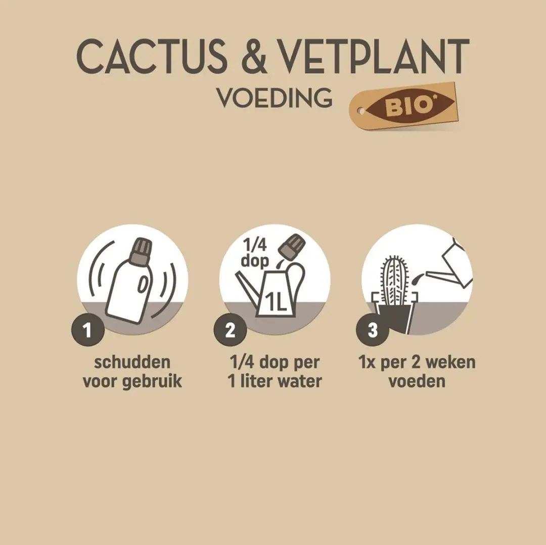 Pokon Bio Cactus & Vetplant Voeding 250ml