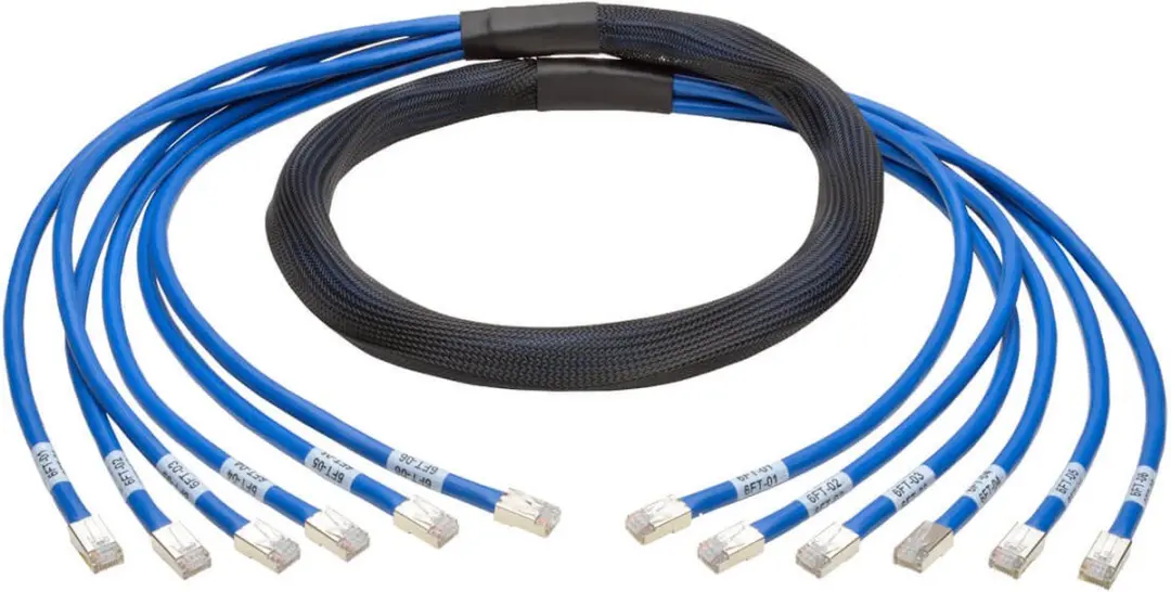 Tripp Lite Cat6 Netwerkkabel 1,83m