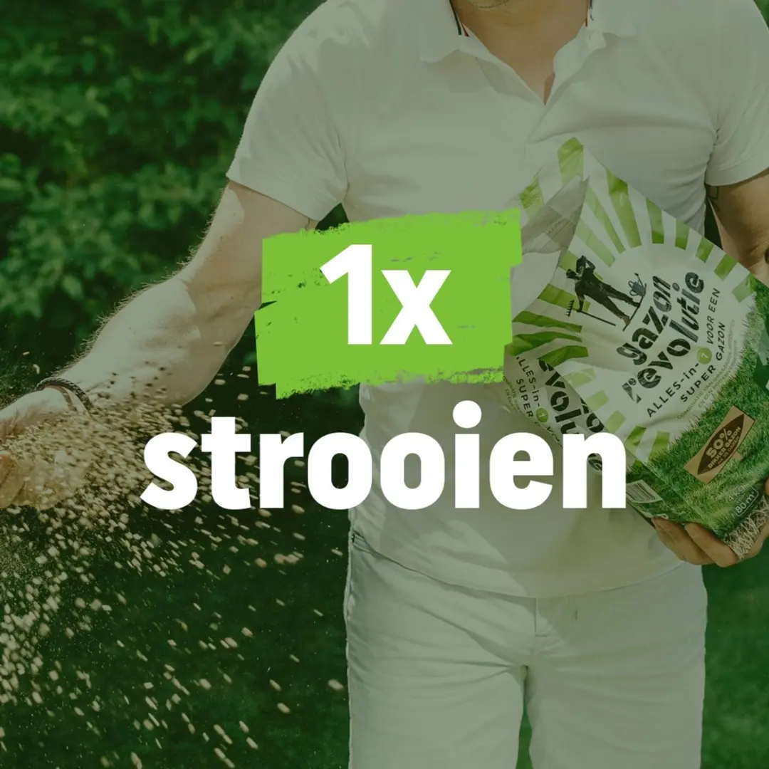 Pokon Gazon Revolutie 7,5kg Bodemverbeteraar - 150m²
