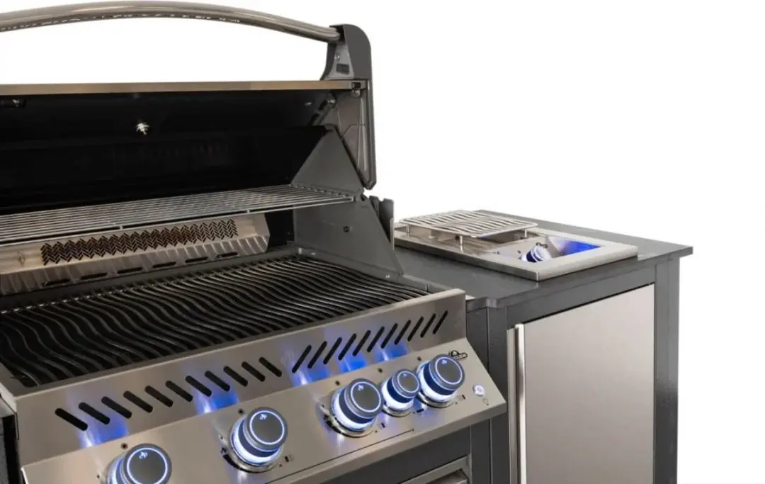 Napoleon Oasis Compact Buitenkeuken - Prestige 500 RVS