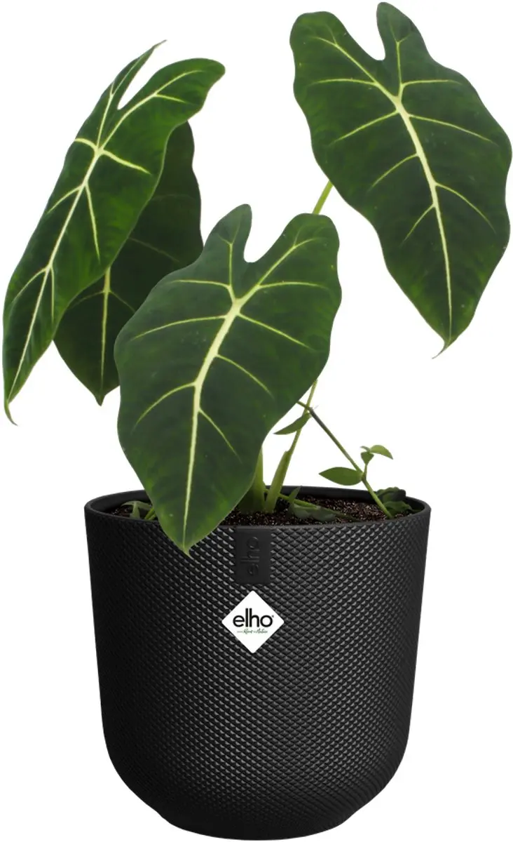 Elho Jazz Rond 19 Bloempot - 3.7L - Living Black