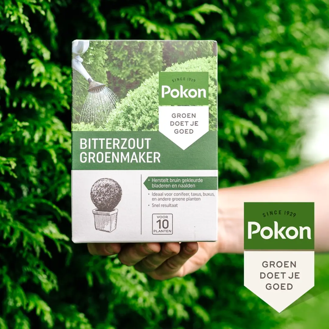 Pokon Bitterzout Groenmaker 500g - Voor Buxus/Conifeer