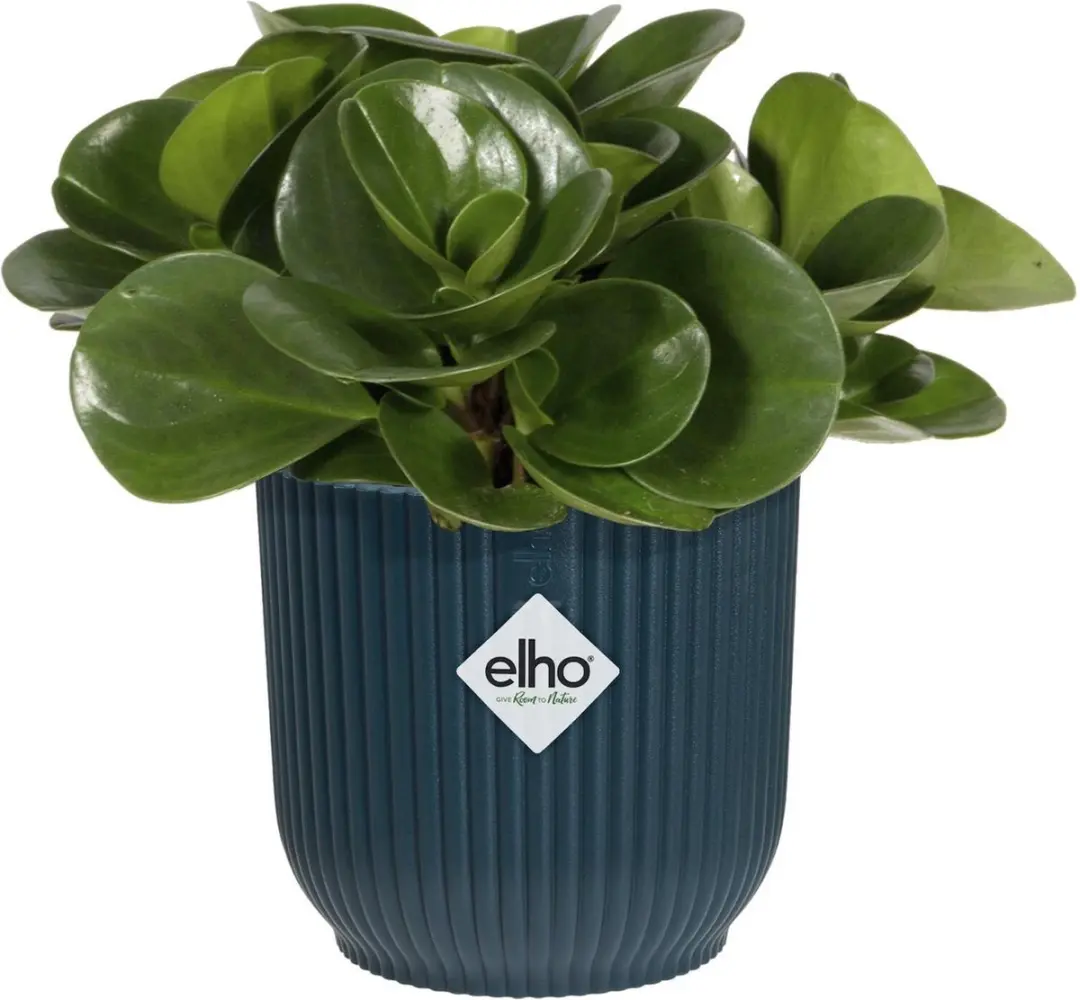 Elho Vibes Fold Rond Mini 7 Bloempot Diepblauw