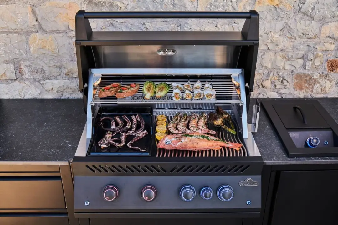 Napoleon Oasis Compact BBQ - 4 Branders - Mat Zwart