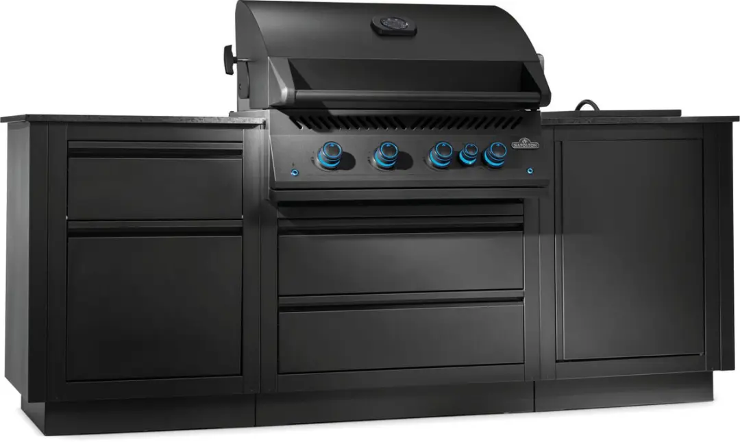 Napoleon Oasis Compact BBQ - 4 Branders - Mat Zwart