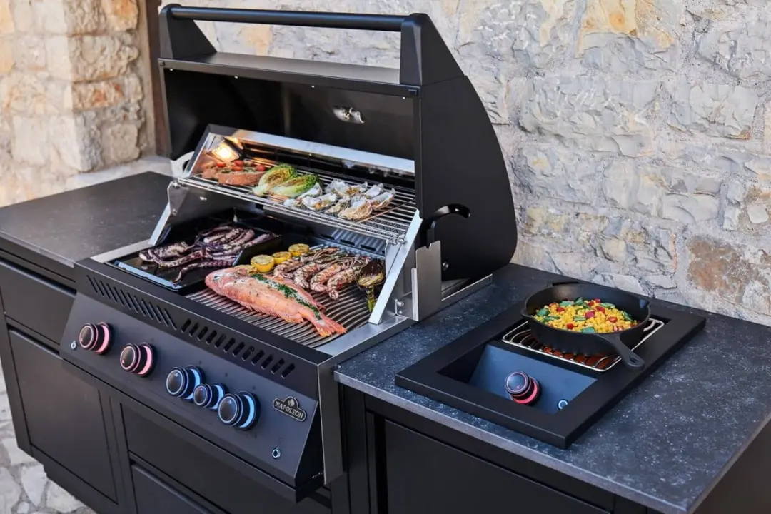 Napoleon Oasis Compact BBQ - 4 Branders - Mat Zwart