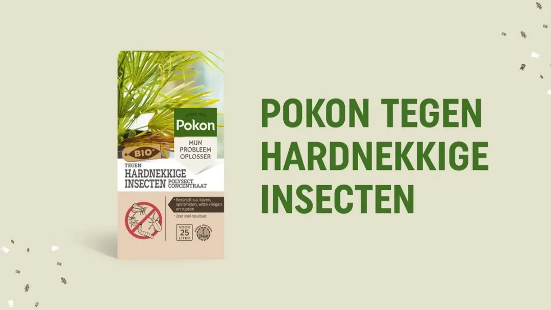 Pokon Bio Tegen Hardnekkige Insecten Concentraat 175ml