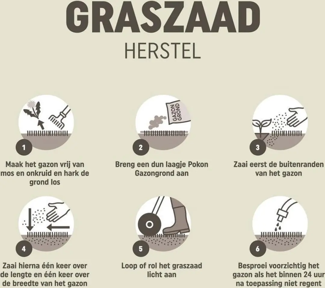 Pokon Graszaad Herstel 250g - 10-15m²