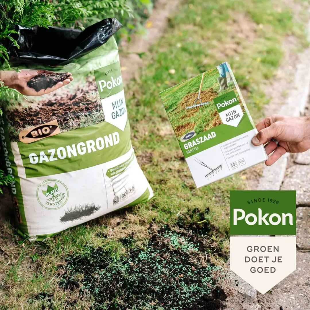 Pokon Graszaad Herstel 250g - 10-15m²