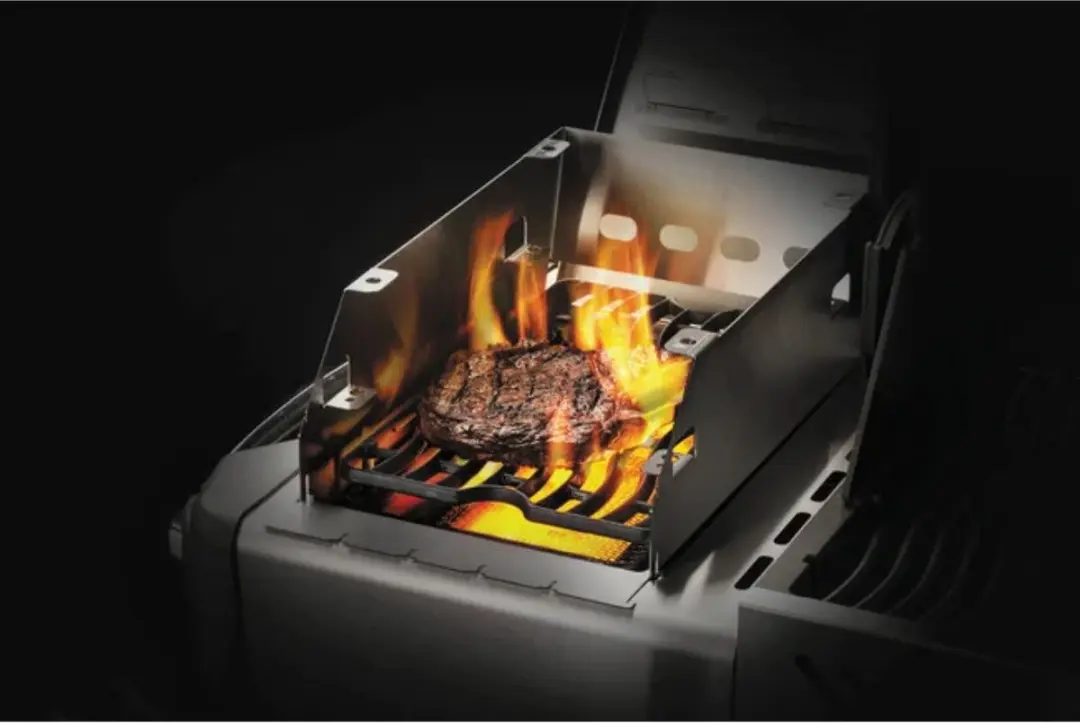 Napoleon Sizzle Zone Windscherm & Spieshouder - Multi