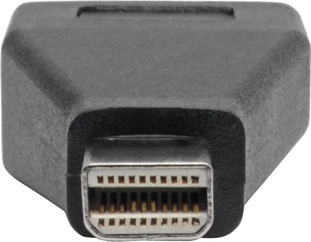 Tripp Lite P139-000-DP Mini DisplayPort naar DisplayPort Adapter - 1920x1200 @ 60Hz - Zwart