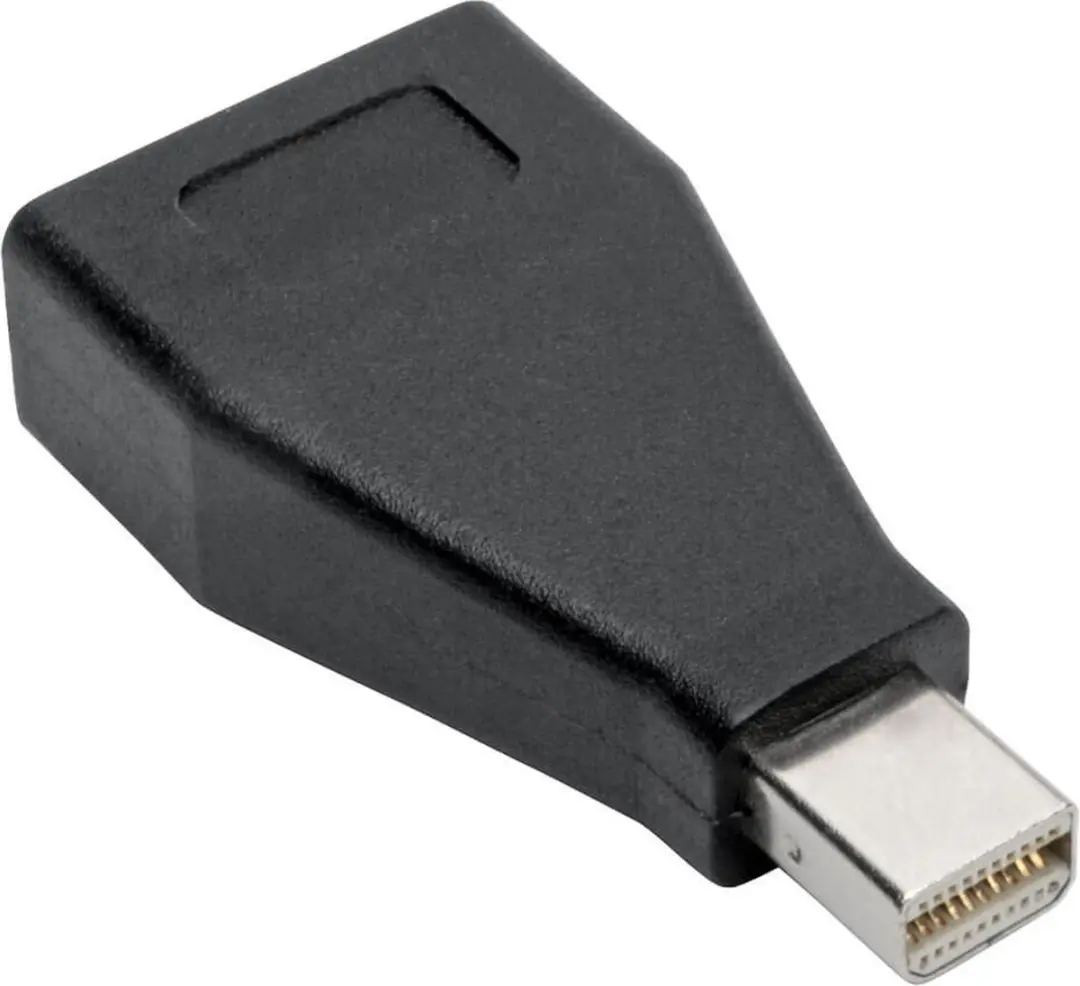 Tripp Lite P139-000-DP Mini DisplayPort naar DisplayPort Adapter - 1920x1200 @ 60Hz - Zwart