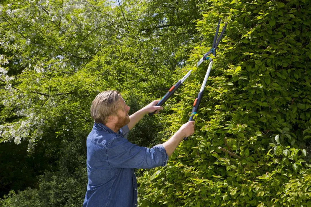 Gardena TeleCut Heggenschaar 70-90cm - afbeelding 6 van 6