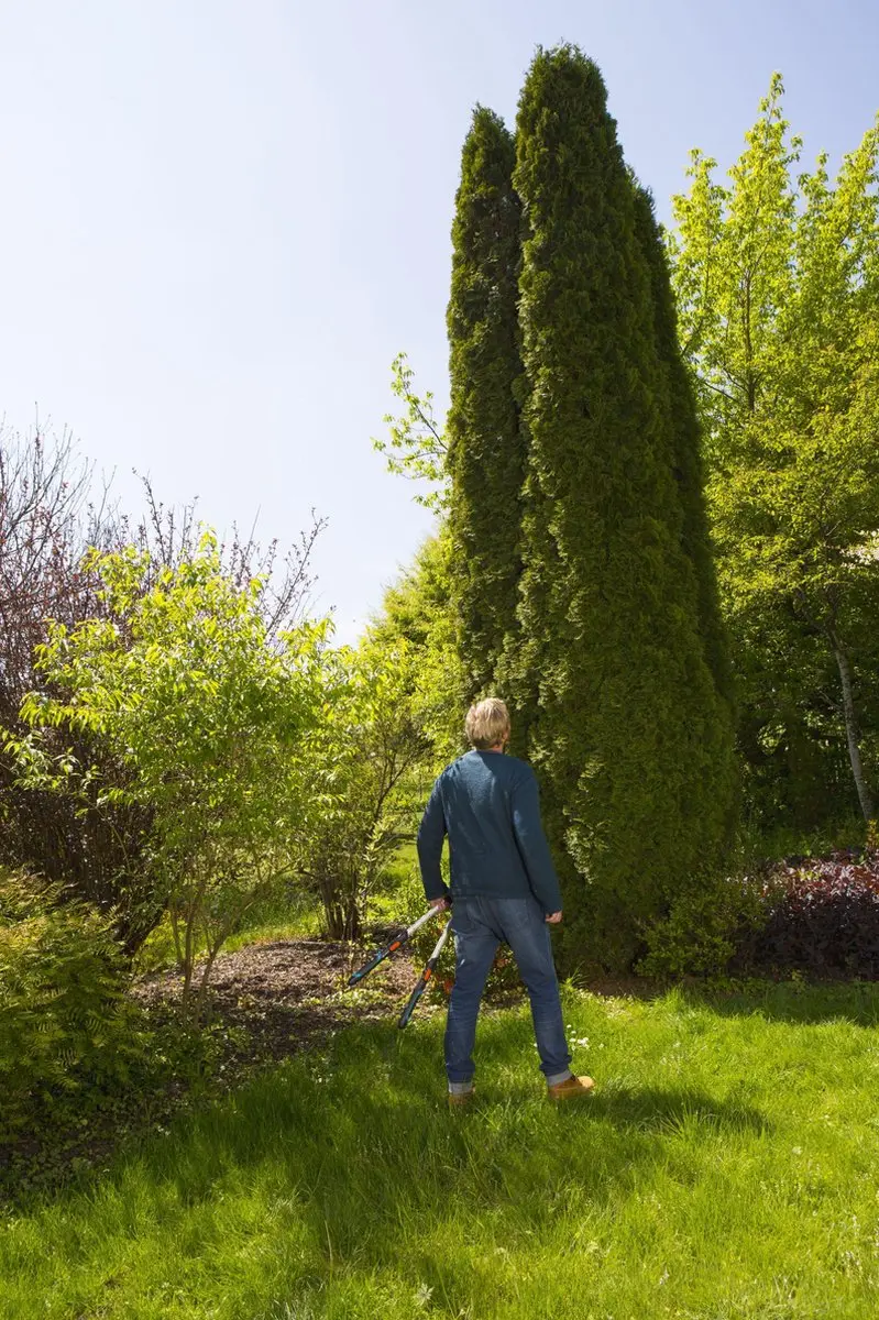 Gardena TeleCut Heggenschaar 70-90cm