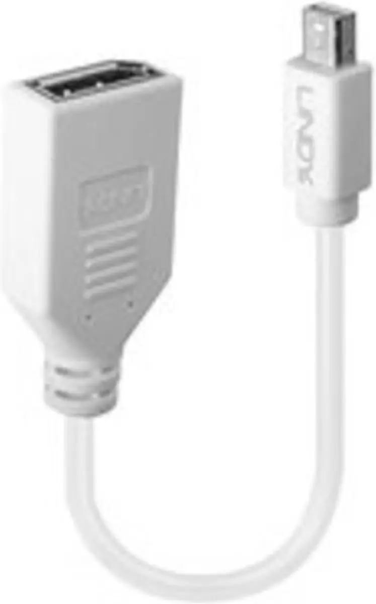 Lindy 41021 DisplayPort naar Mini-DisplayPort Adapterkabel - Wit