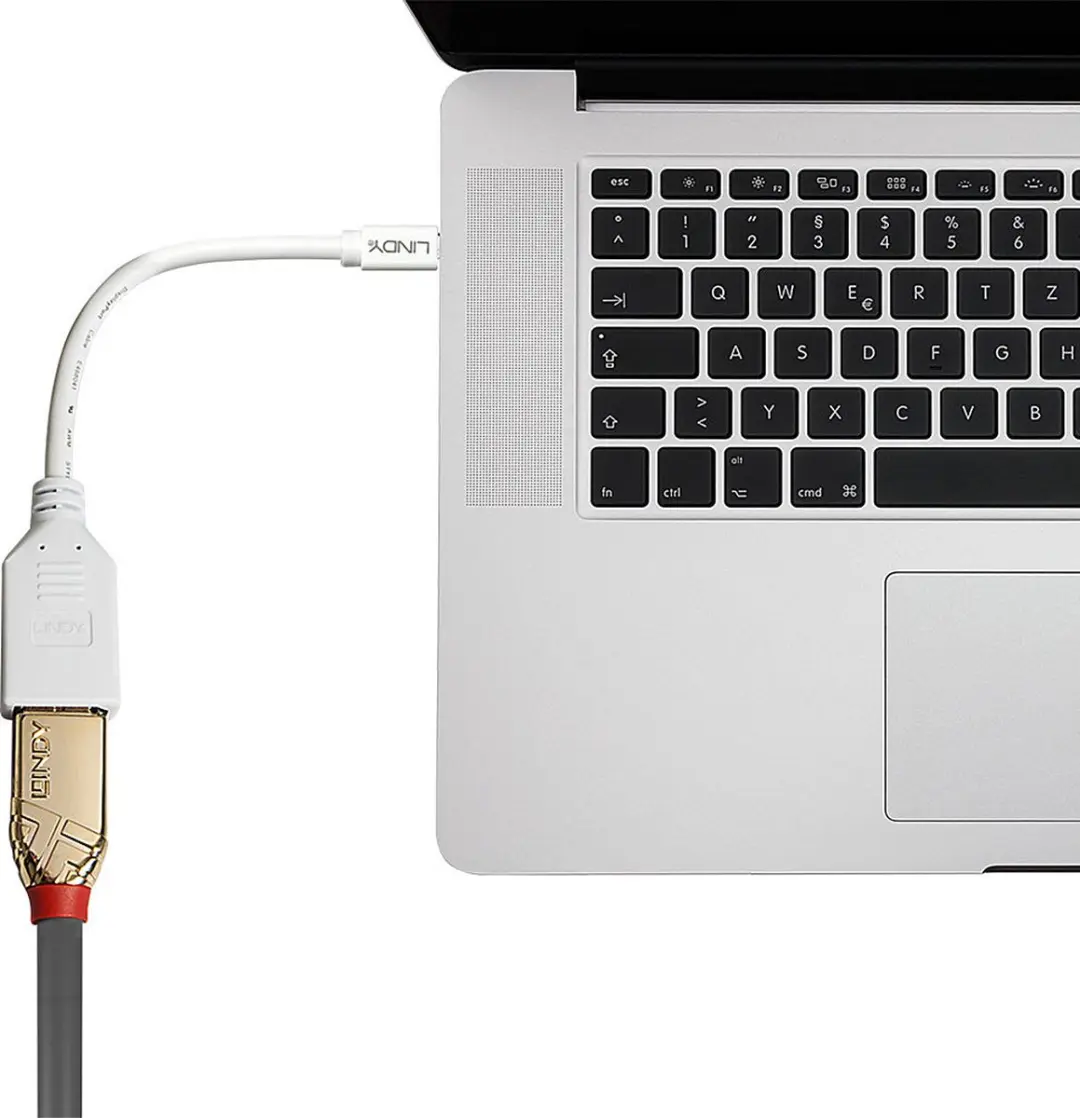 Lindy 41021 DisplayPort naar Mini-DisplayPort Adapterkabel - Wit