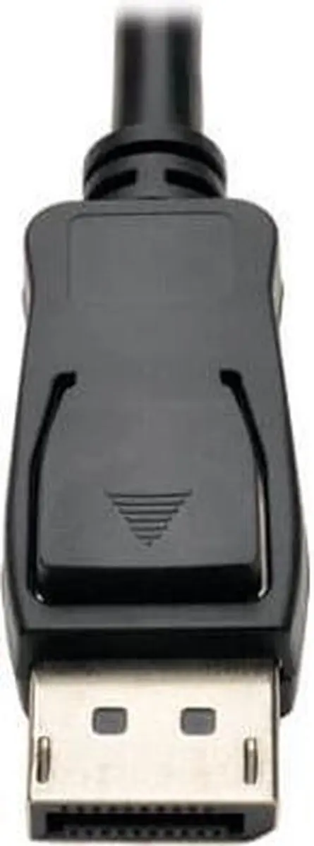 Tripp Lite P136-06N-ACT Actieve Video-omzetter - Zwart