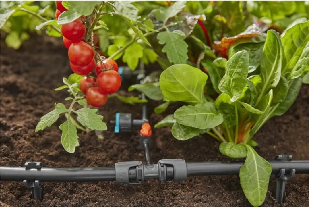 Gardena Micro-Drip T-stuk 13mm - 5 Stuks