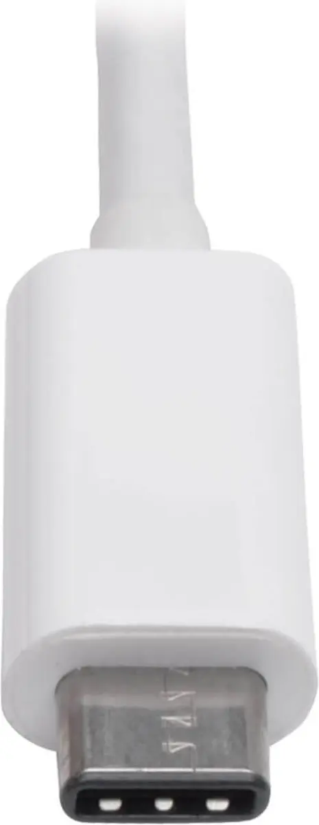 Tripp Lite U444-06N-DP-AM USB C naar DisplayPort Kabeltussenstuk - Wit