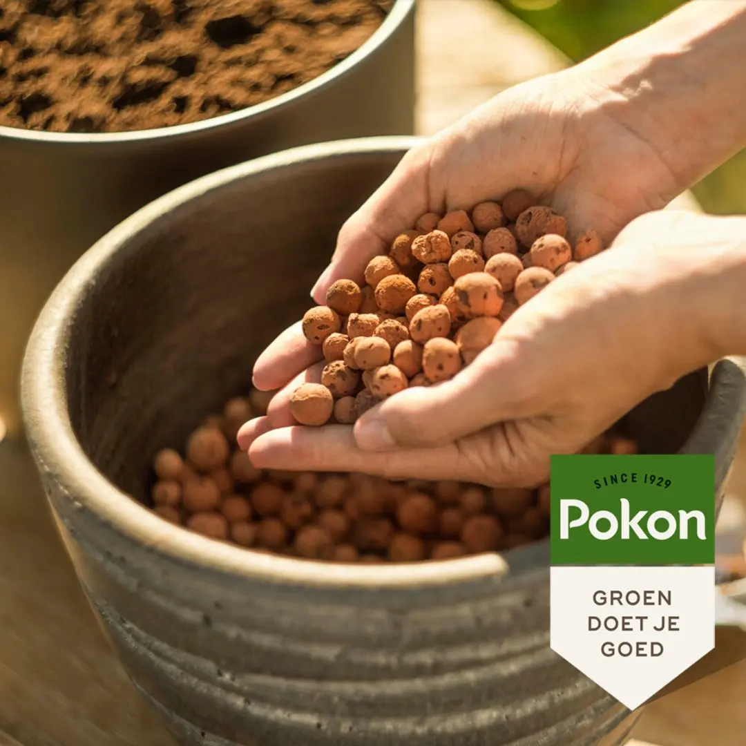 Pokon Hydrokorrels 5L - Kleikorrels - afbeelding 6 van 6