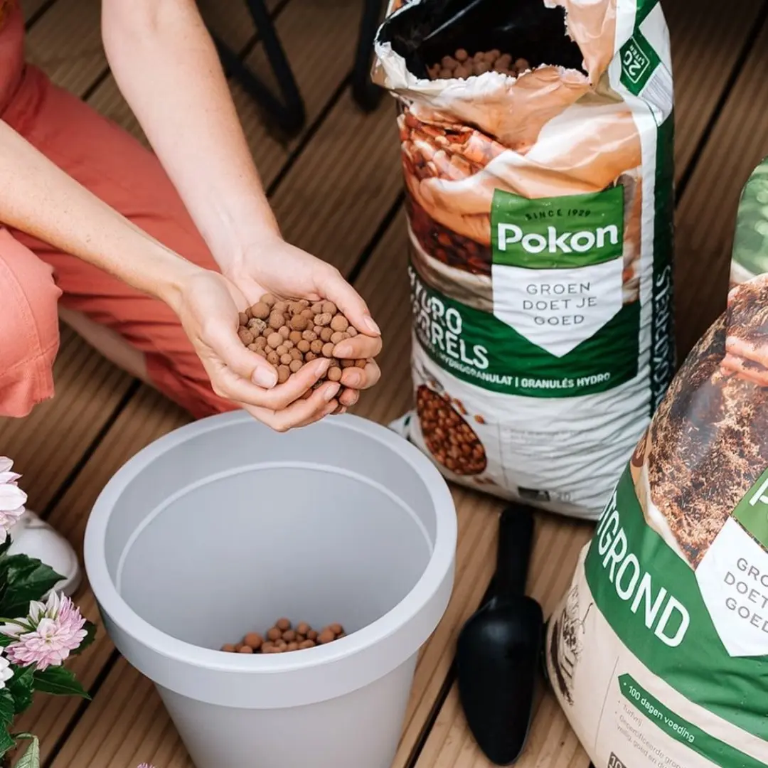 Pokon Hydrokorrels 5L - Kleikorrels