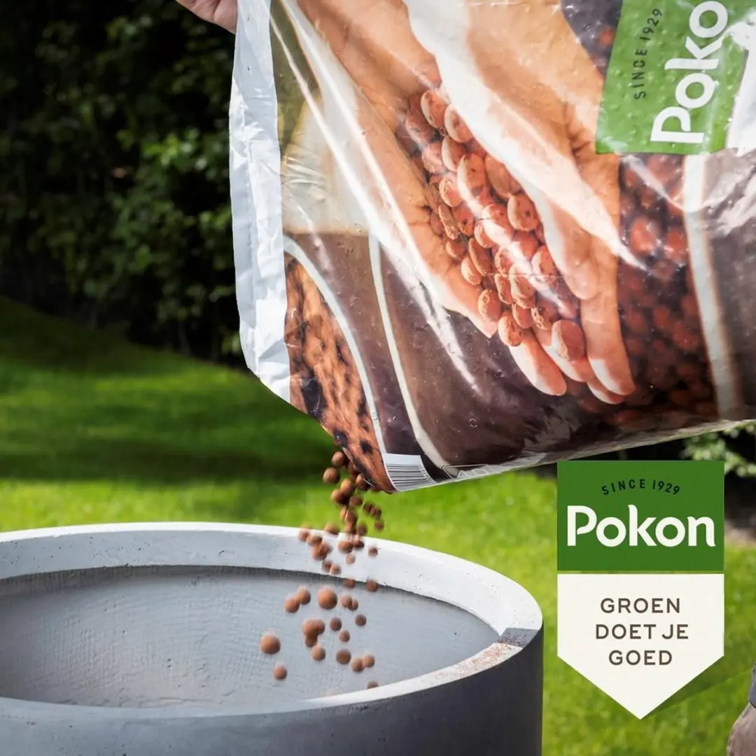 Pokon Hydrokorrels 5L - Kleikorrels