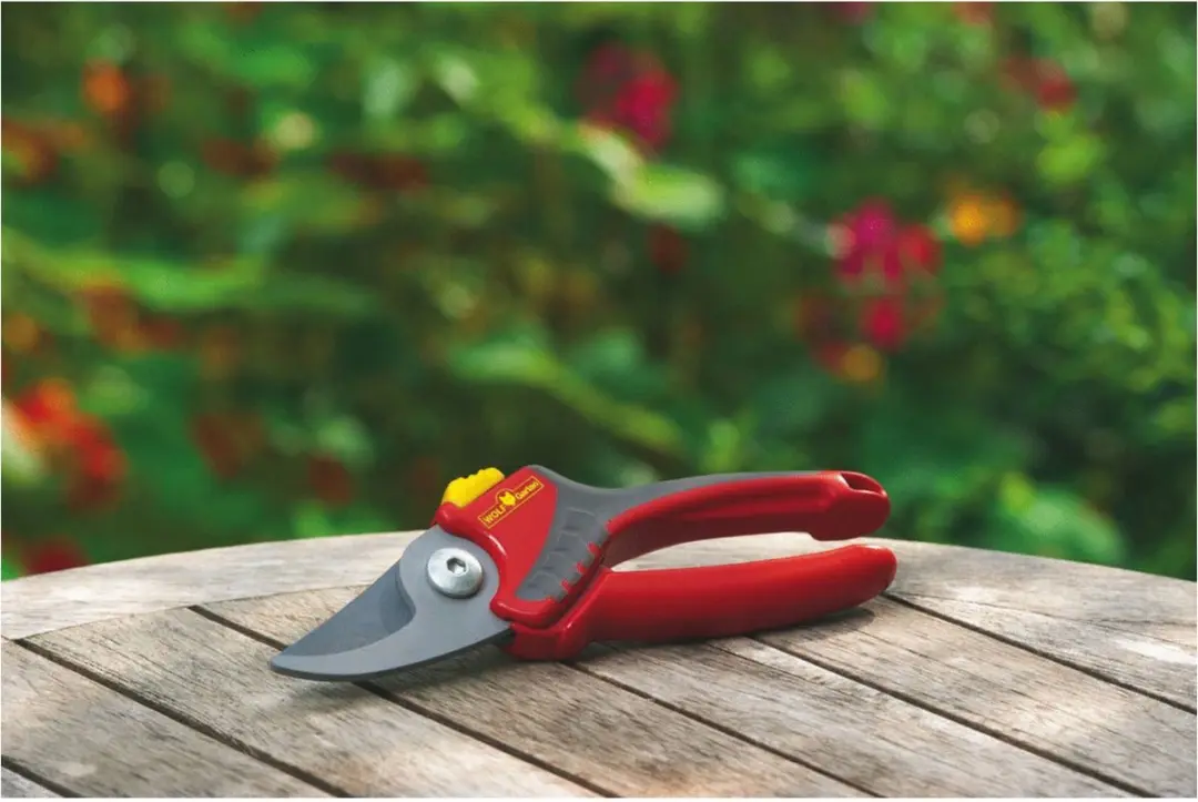 WOLF-Garten Comfort Plus Snoeischaar RR 2500 - 22mm