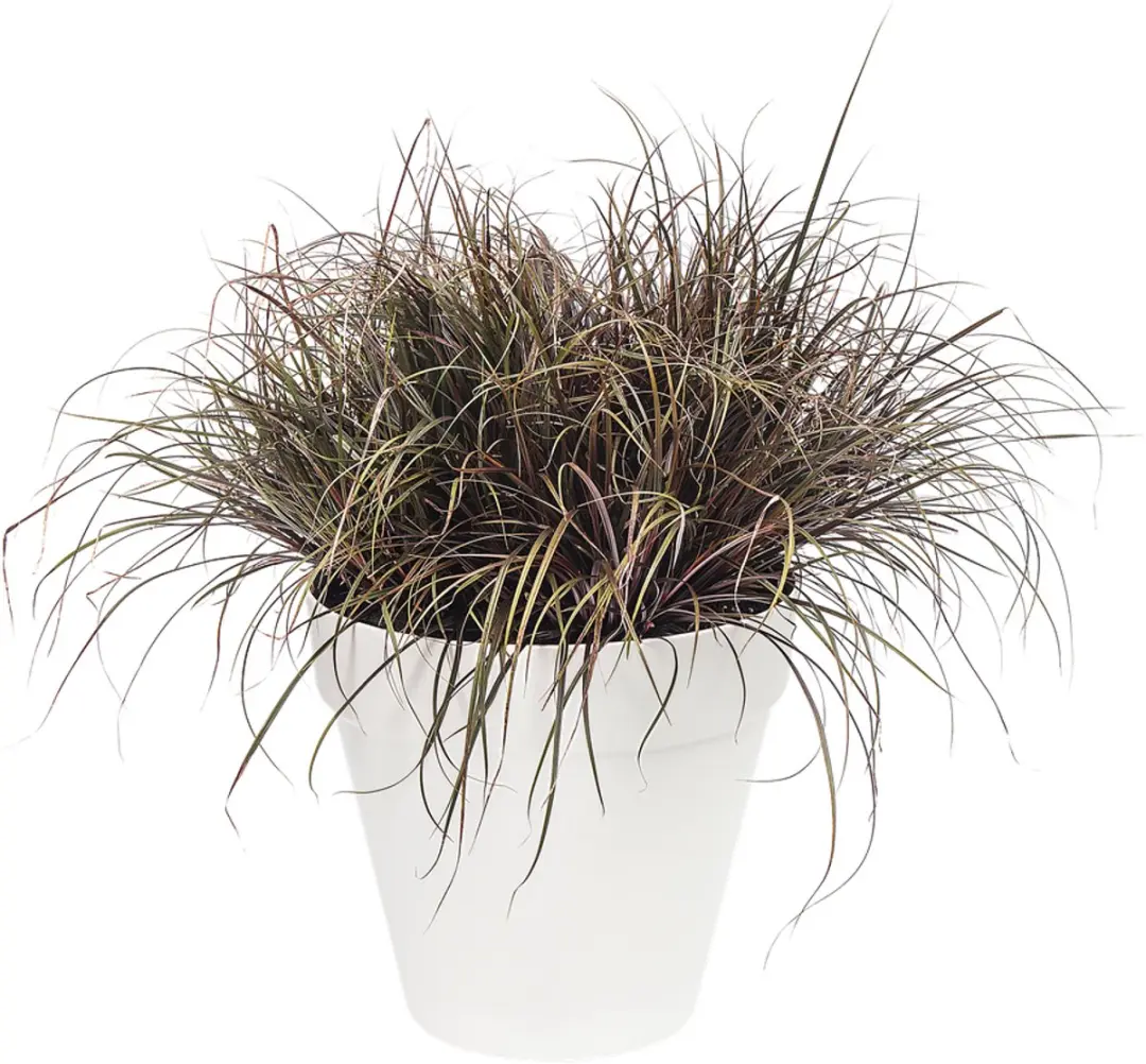 Elho Loft Urban Rond 25 Bloempot - 5.5L - Wit - afbeelding 6 van 6